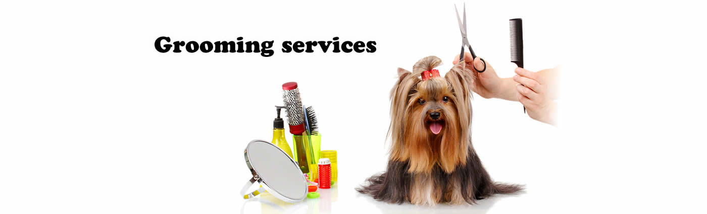 pet grooming services